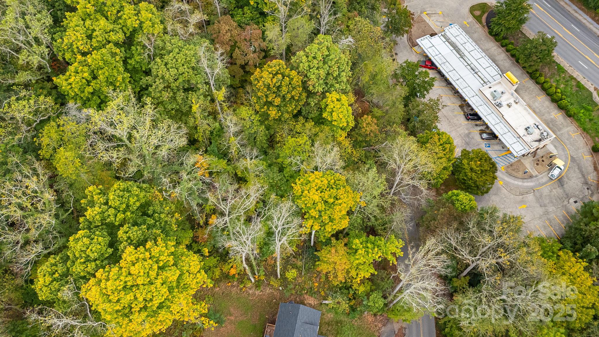 455 Governors View Road Asheville, NC 28805 - Photo 13 of 26 a view of a yard with plants