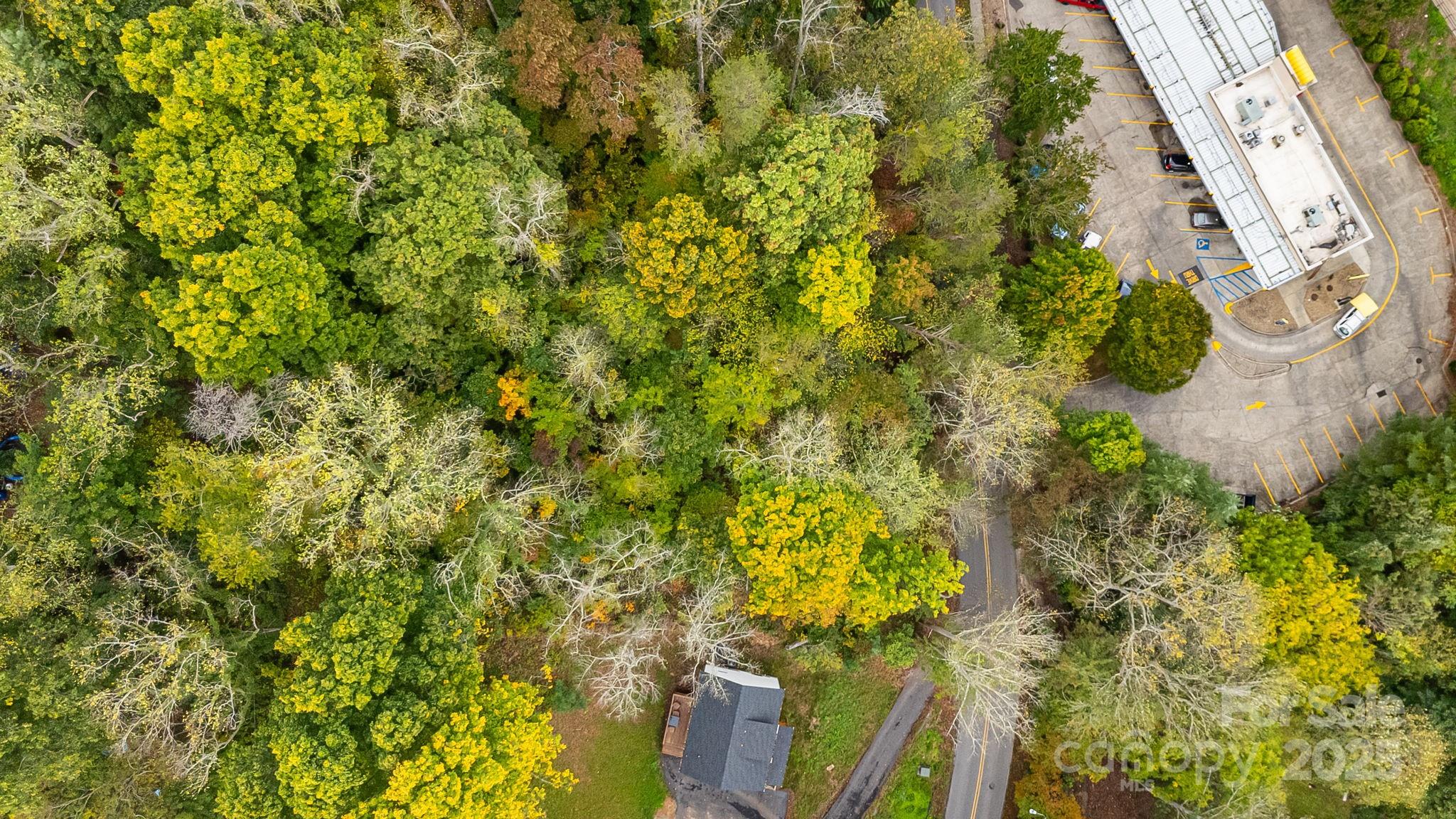 455 Governors View Road Asheville, NC 28805 - Photo 15 of 26 a close up of a plant