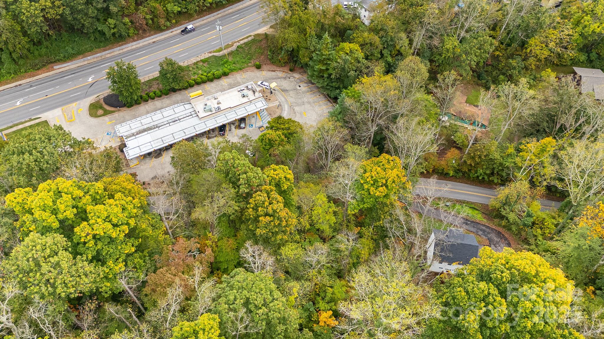 455 Governors View Road Asheville, NC 28805 - Photo 16 of 26 a view of a yard with plants and large trees
