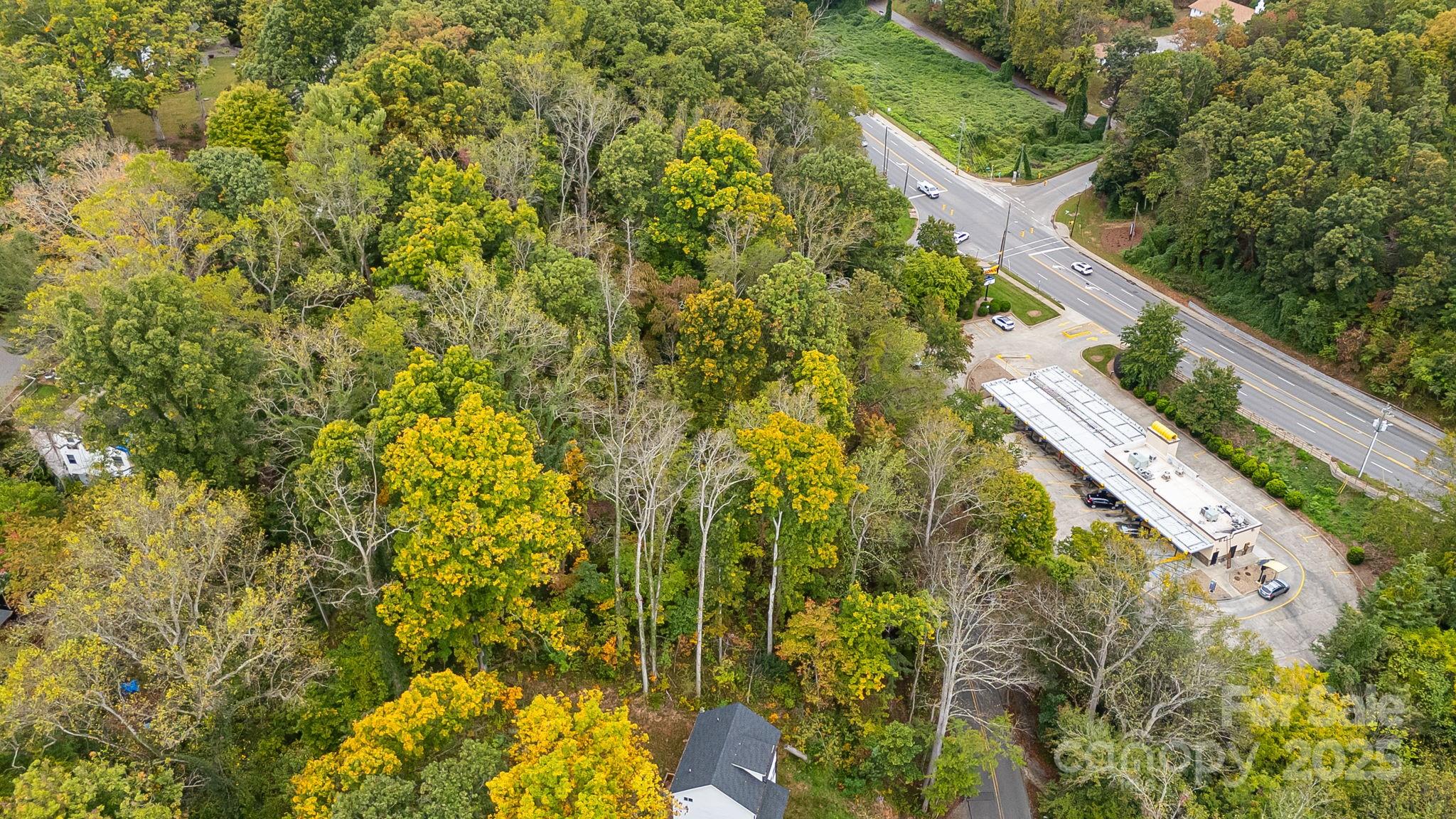 455 Governors View Road Asheville, NC 28805 - Photo 17 of 26 a view of a yard with plants