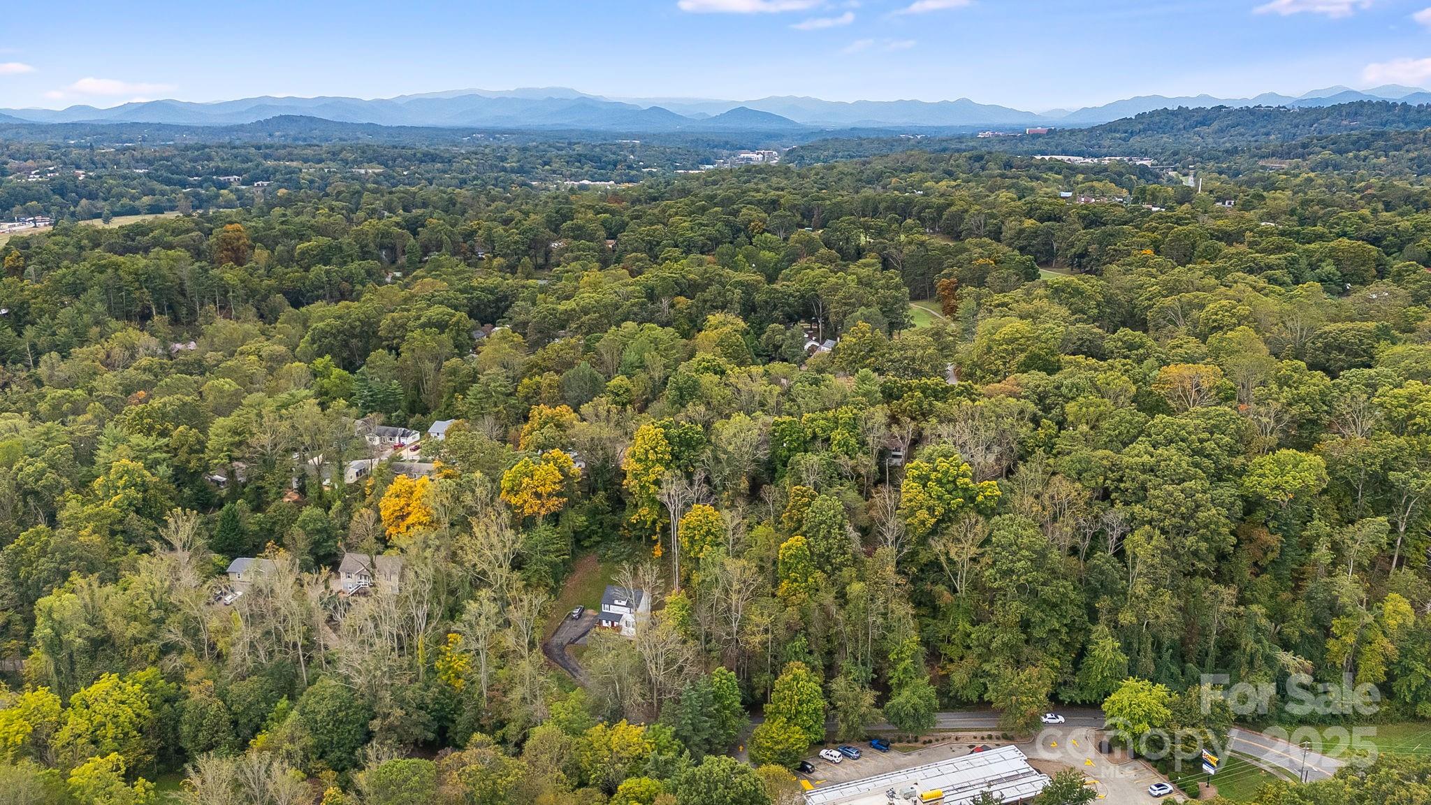 455 Governors View Road Asheville, NC 28805 - Photo 19 of 26 a view of a lush green hillside and a mountain