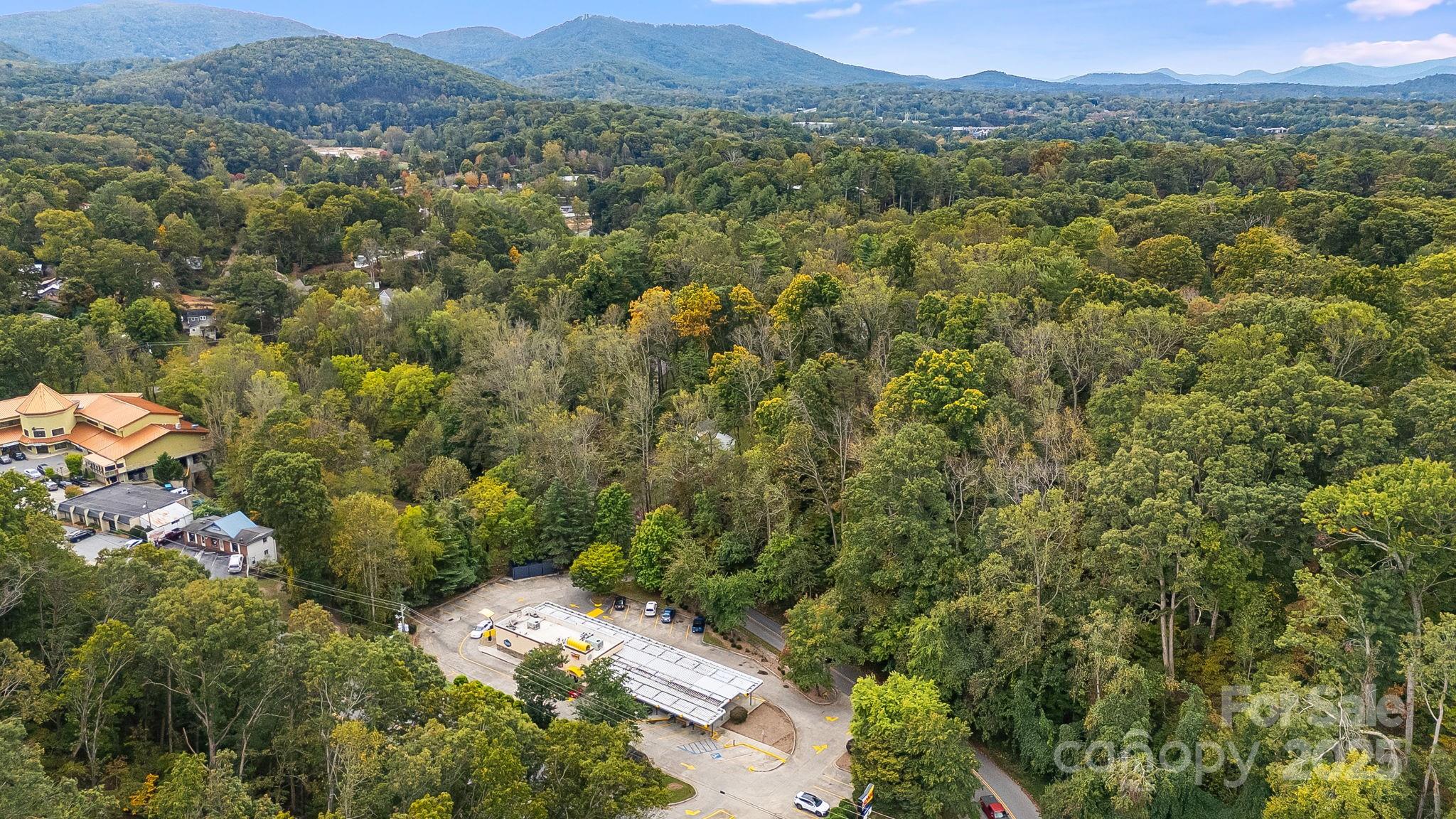 455 Governors View Road Asheville, NC 28805 - Photo 20 of 26 a view of a lush green forest with trees in the background