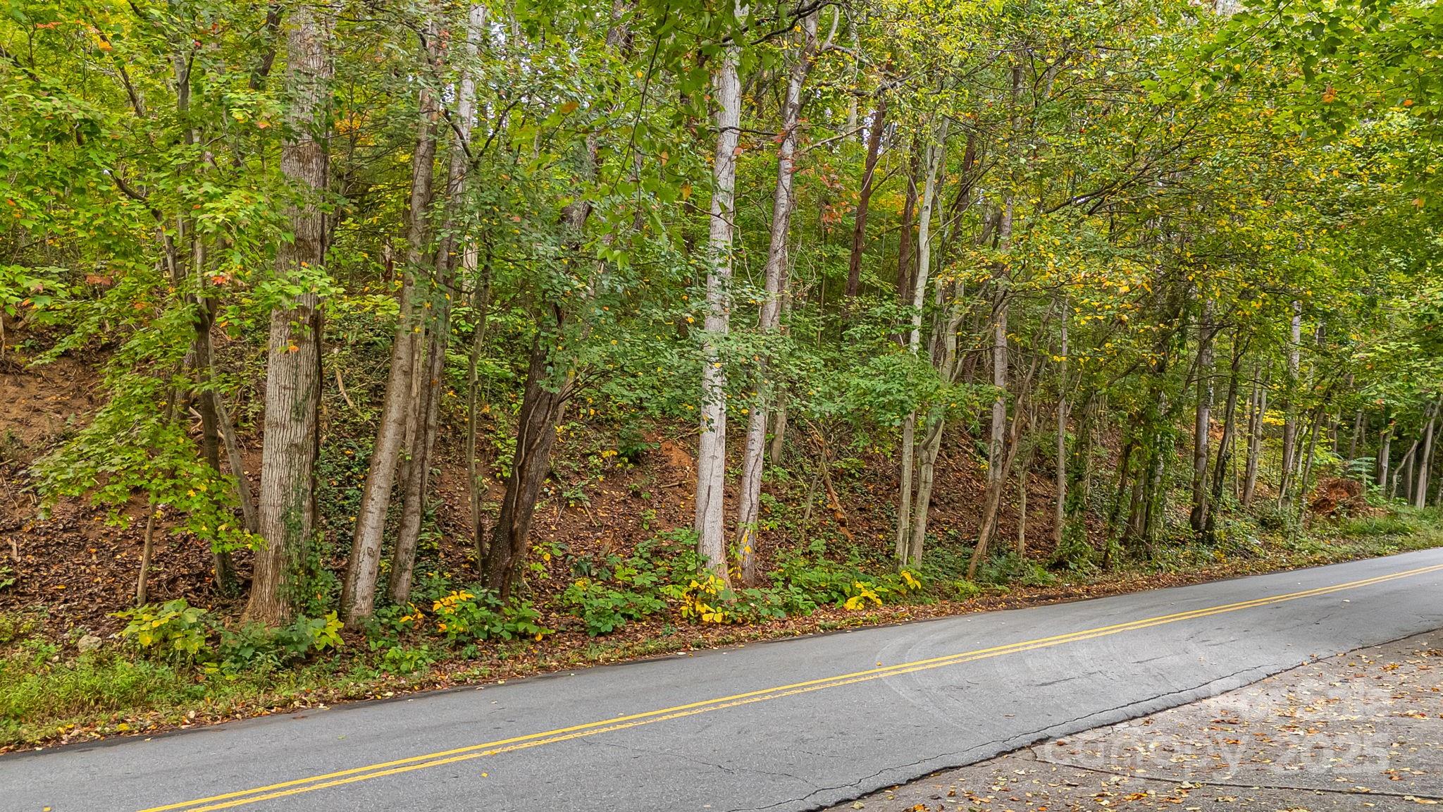 455 Governors View Road Asheville, NC 28805 - Photo 2 of 26 a view of a garden