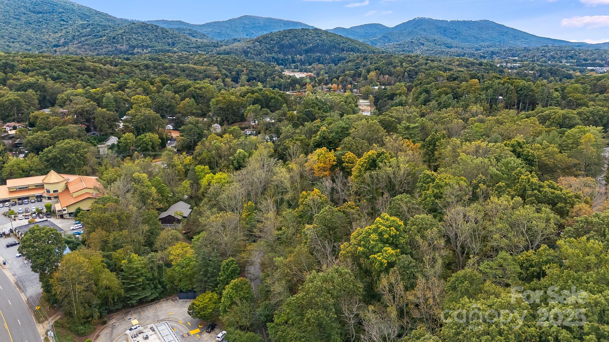 455 Governors View Road Asheville, NC 28805 - Photo 21 of 26 a view of a forest with a street