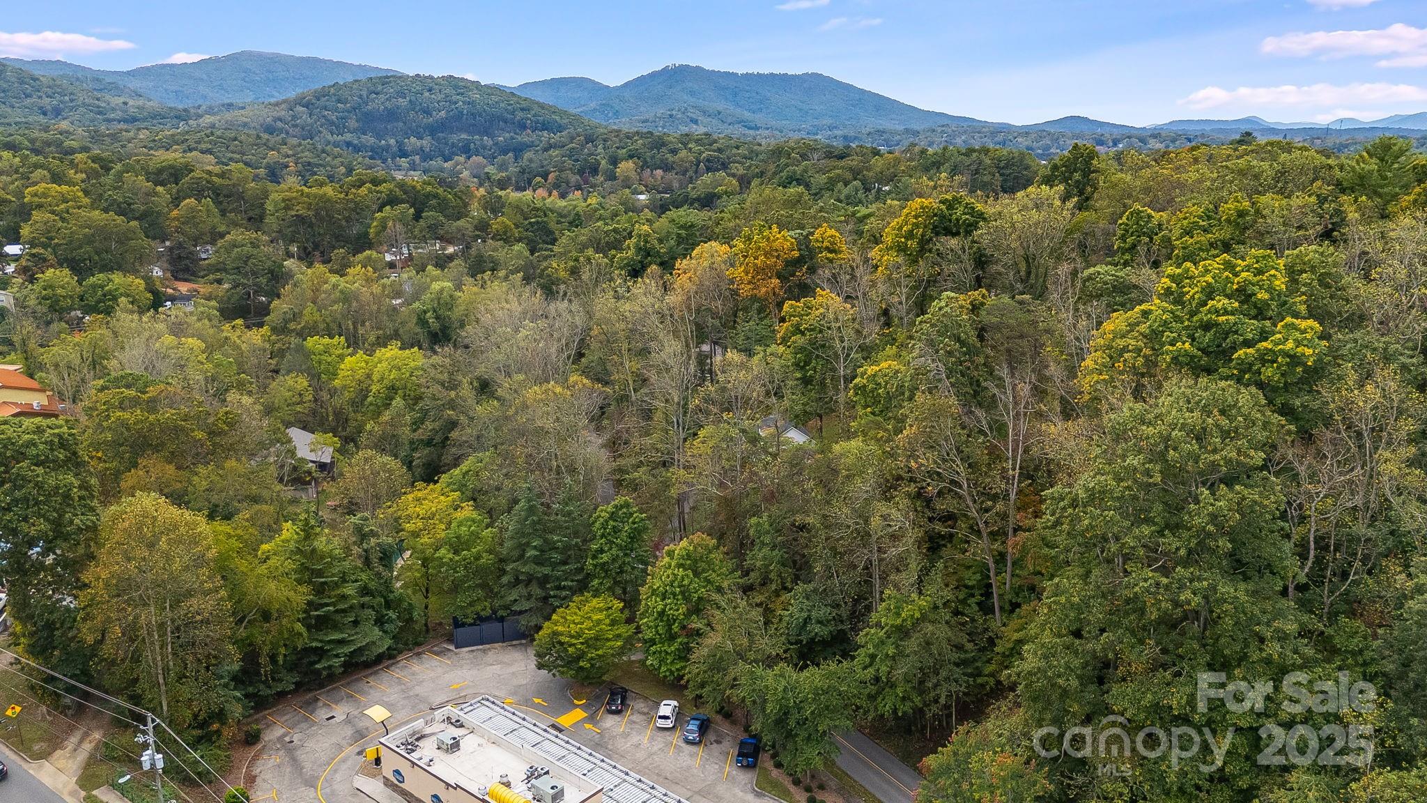 455 Governors View Road Asheville, NC 28805 - Photo 23 of 26 a view of a forest with a mountain