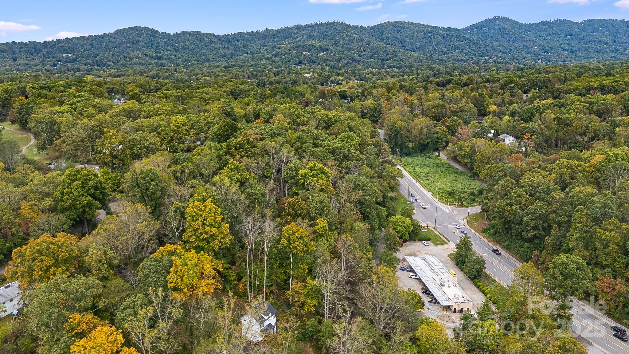455 Governors View Road Asheville, NC 28805 - Photo 24 of 26 a view of a lush green hillside and a mountain