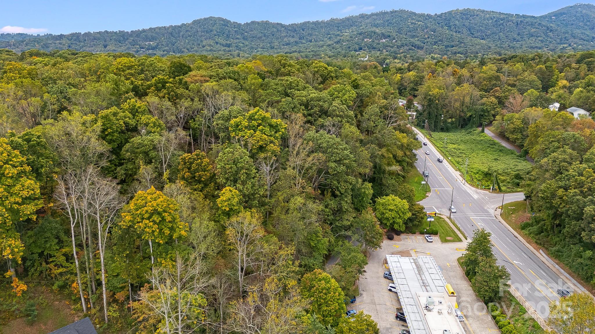 455 Governors View Road Asheville, NC 28805 - Photo 25 of 26 a view of lake and mountain