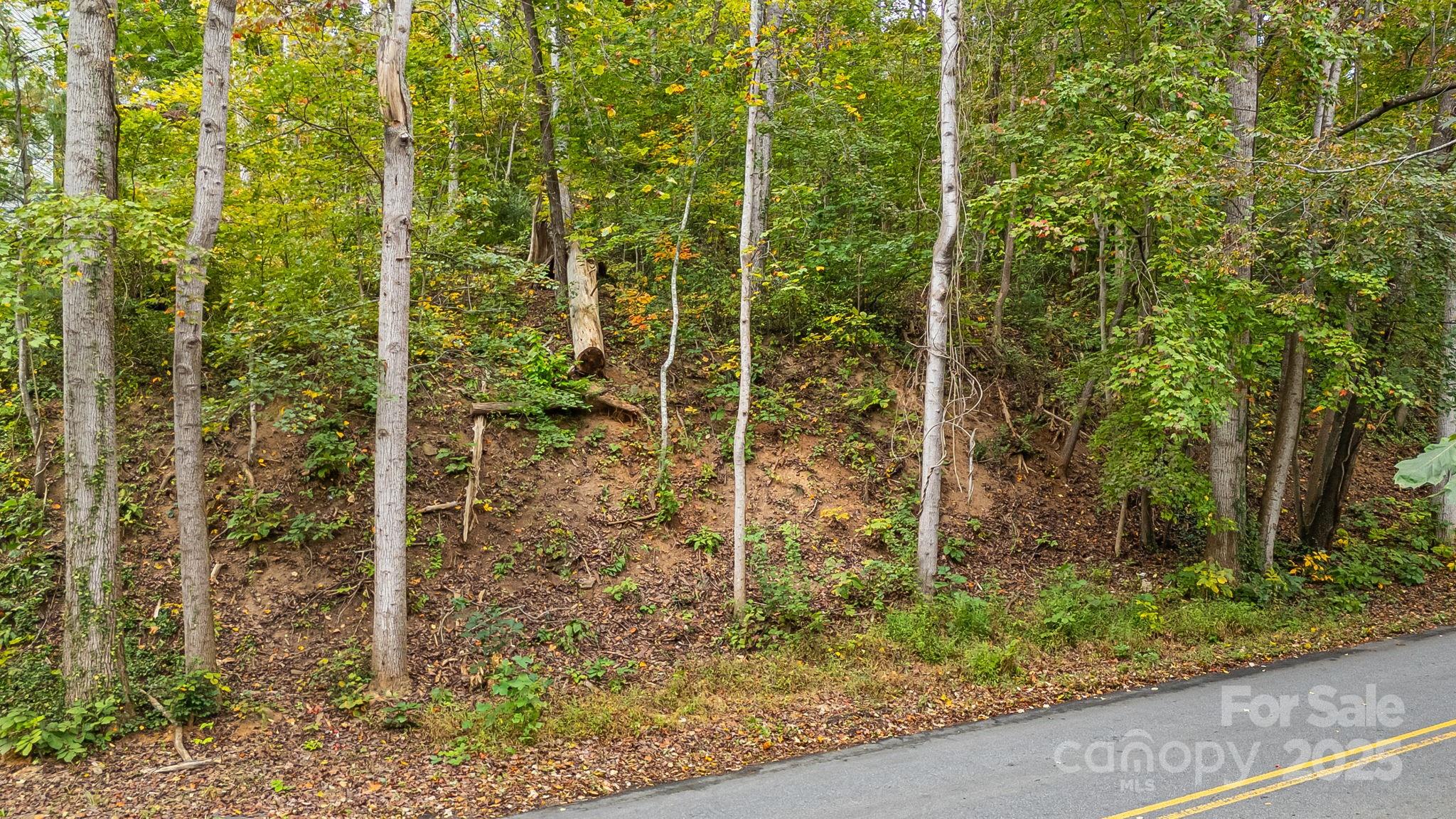 455 Governors View Road Asheville, NC 28805 - Photo 26 of 26 a view of a pathway of a yard