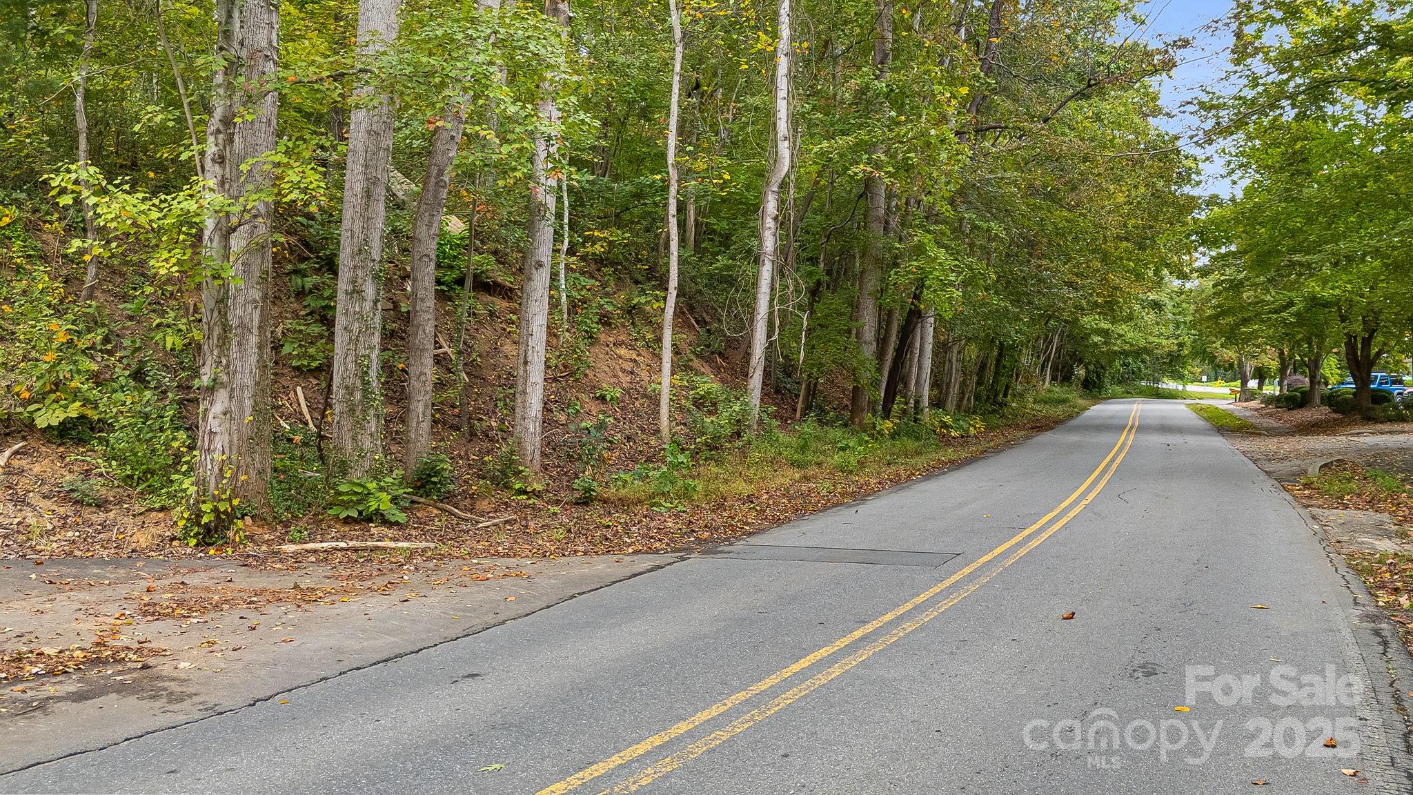455 Governors View Road Asheville, NC 28805 - Photo 3 of 26 a view of a street with a bench