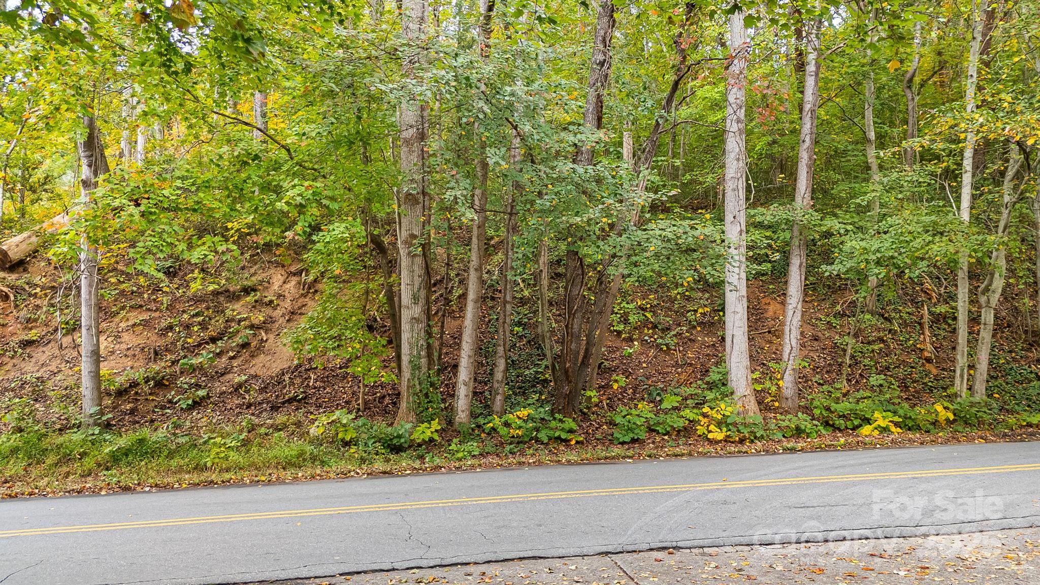 455 Governors View Road Asheville, NC 28805 - Photo 4 of 26 a view of a garden