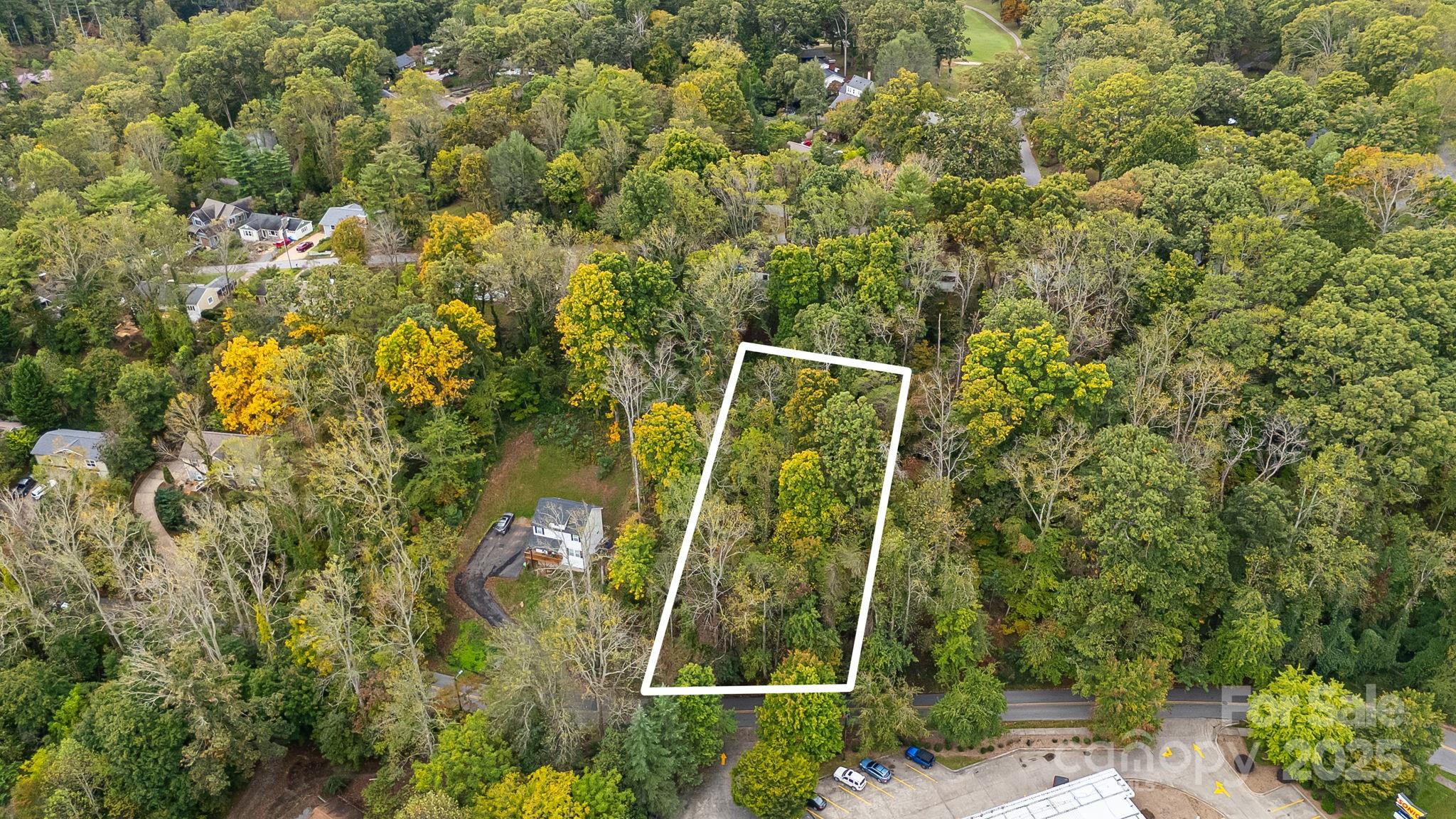 455 Governors View Road Asheville, NC 28805 - Photo 8 of 26 a view of a yard with plants