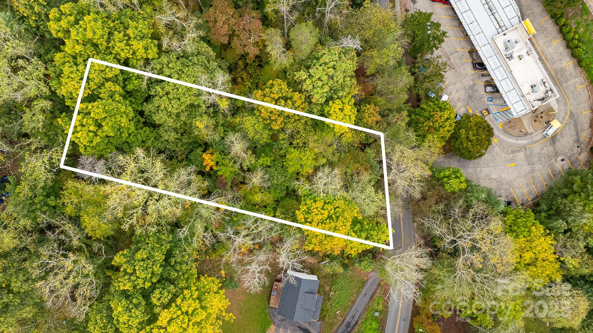 455 Governors View Road Asheville, NC 28805 - Photo 10 of 26 a view of a yard