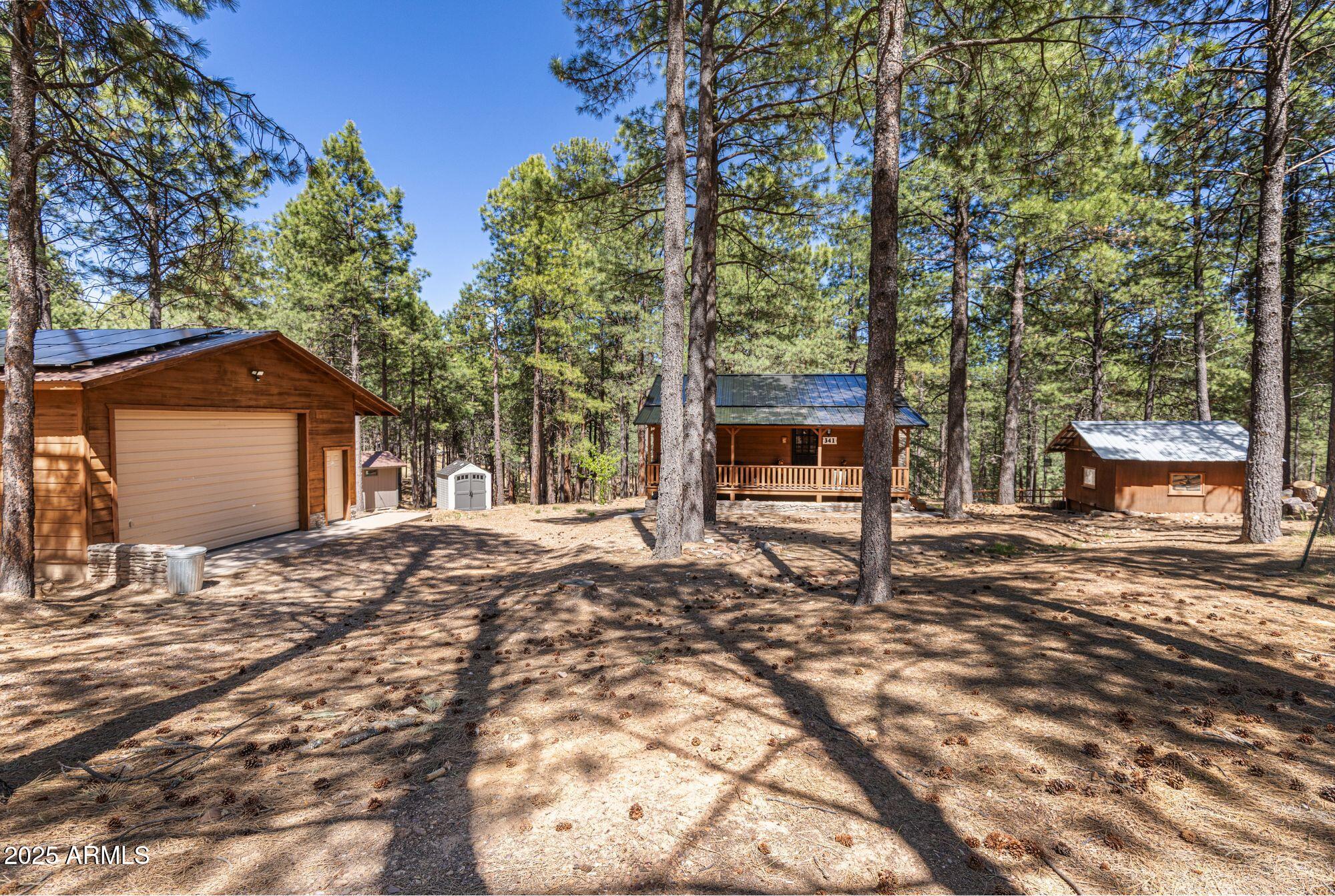 341 Pinto Road Forest Lakes, AZ 85931 - Photo 1 of 36