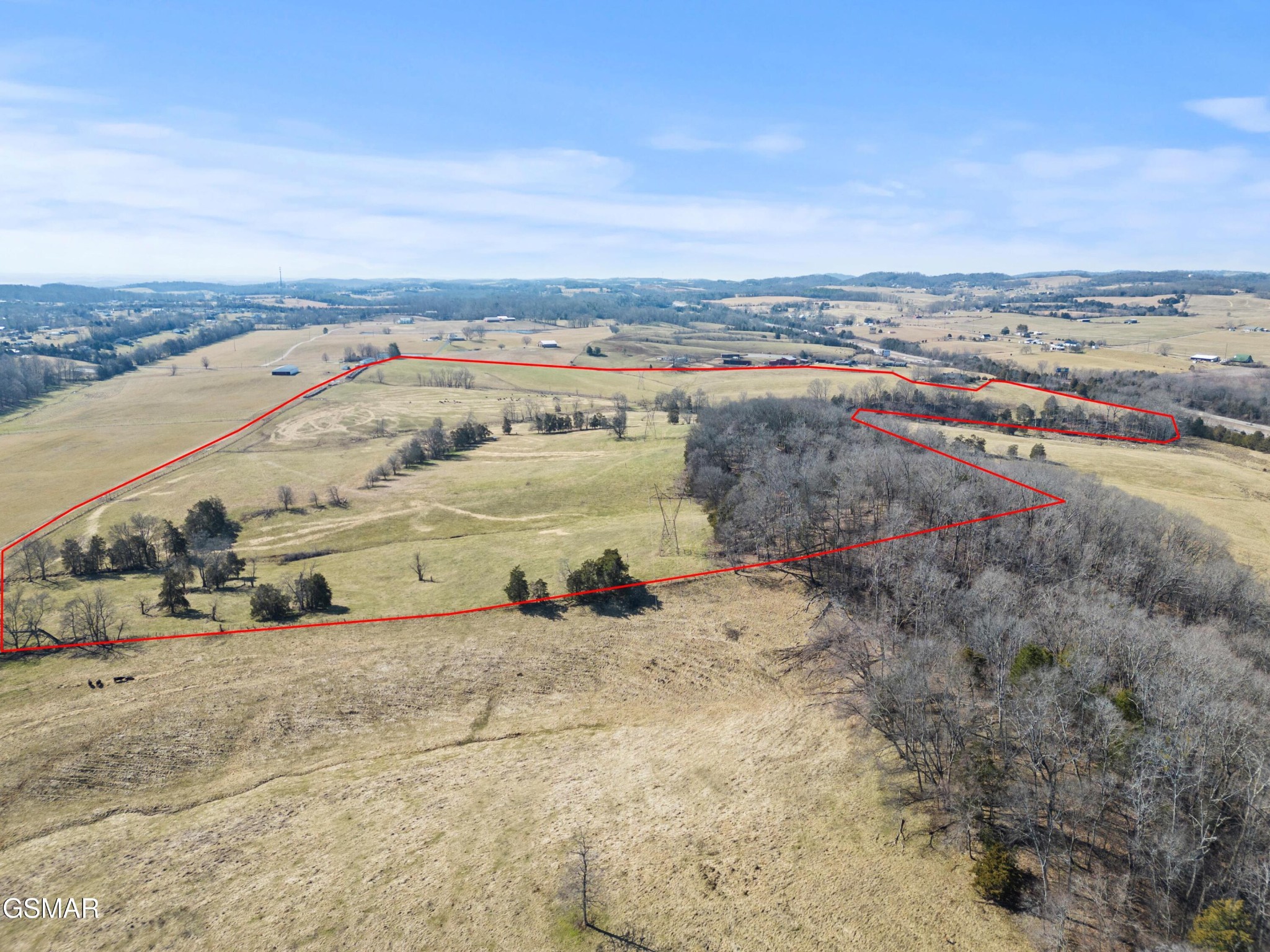 122 Spring Creek Road Dandridge, TN 37725 - Photo 7 of 20 Gallery Image 7