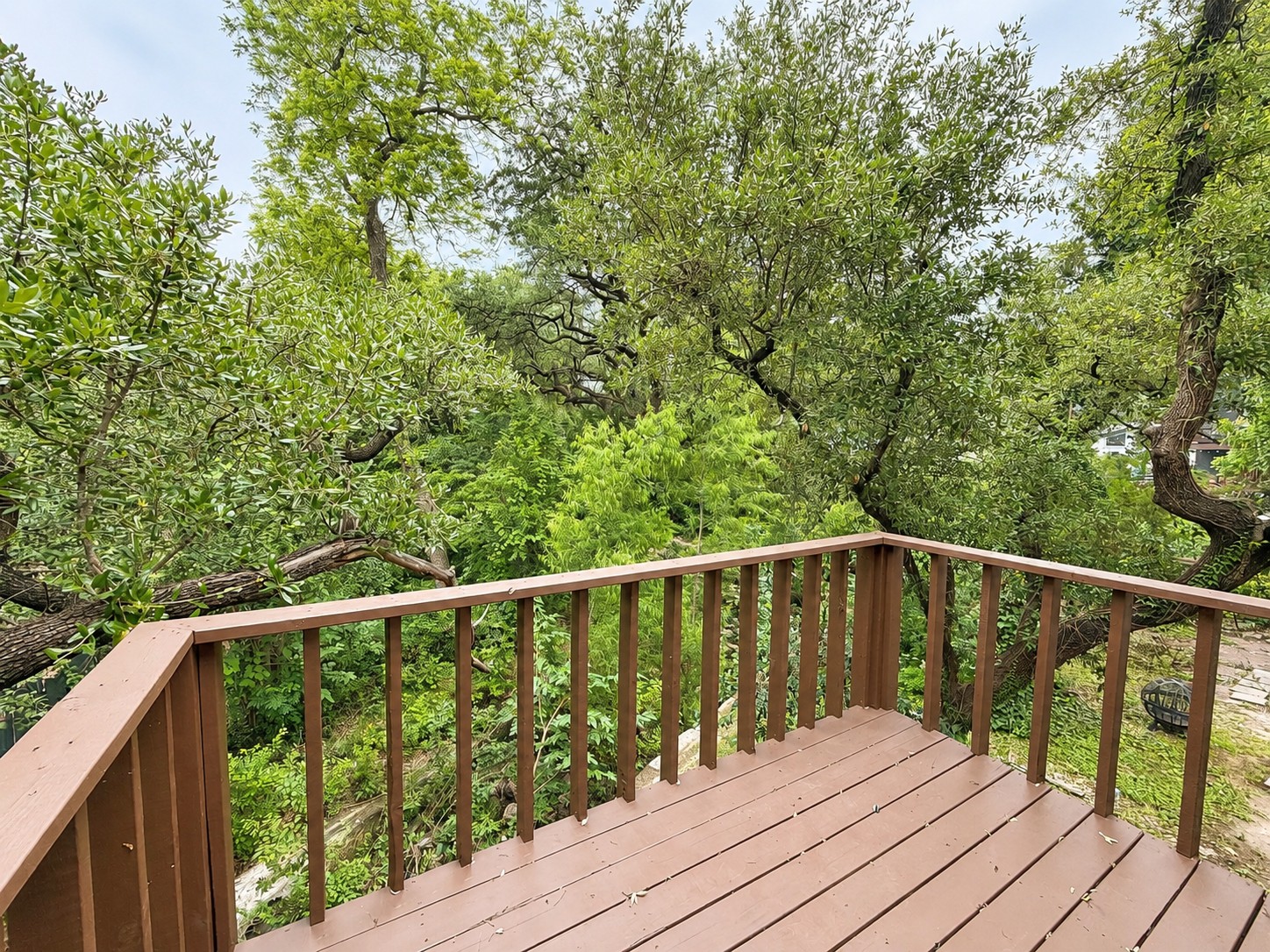 1908 Lightsey Road, Unit A Austin, TX 78704 - Photo 19 of 26