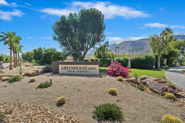 a view of a park with large trees