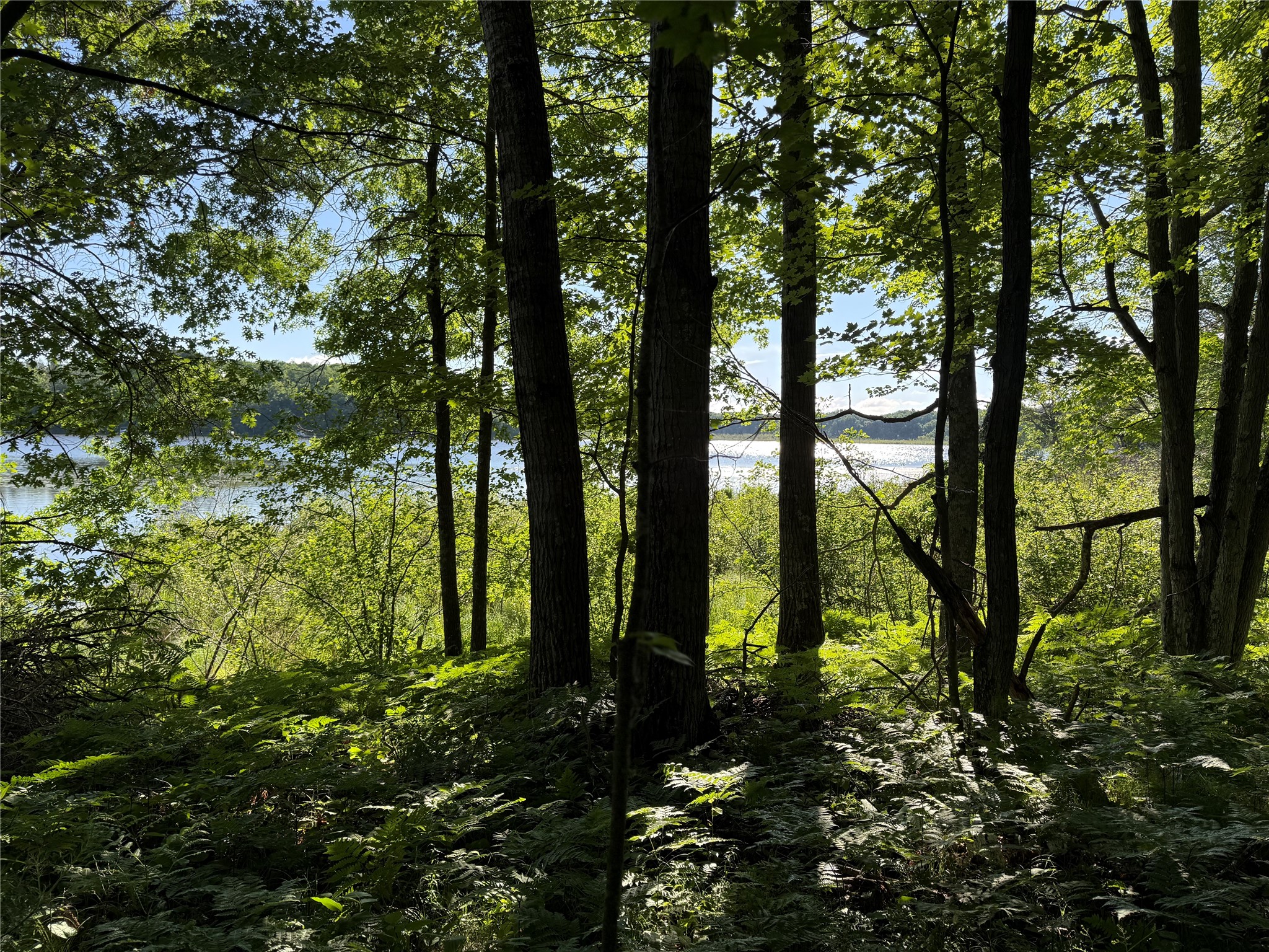 Xxx Sathre Lane Shell Lake, WI 54871 - Photo 16 of 36