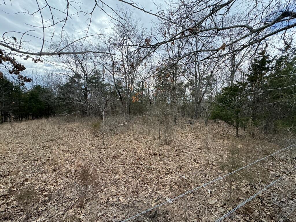85-ac Burmingham Road Forsyth, MO 65653 - Photo 6 of 13 IMG_7230