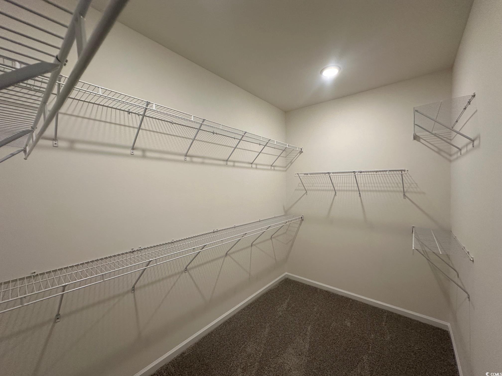 537 Honeyhill Loop Conway, SC 29526 - Photo 11 of 40 Spacious closet with dark colored carpet