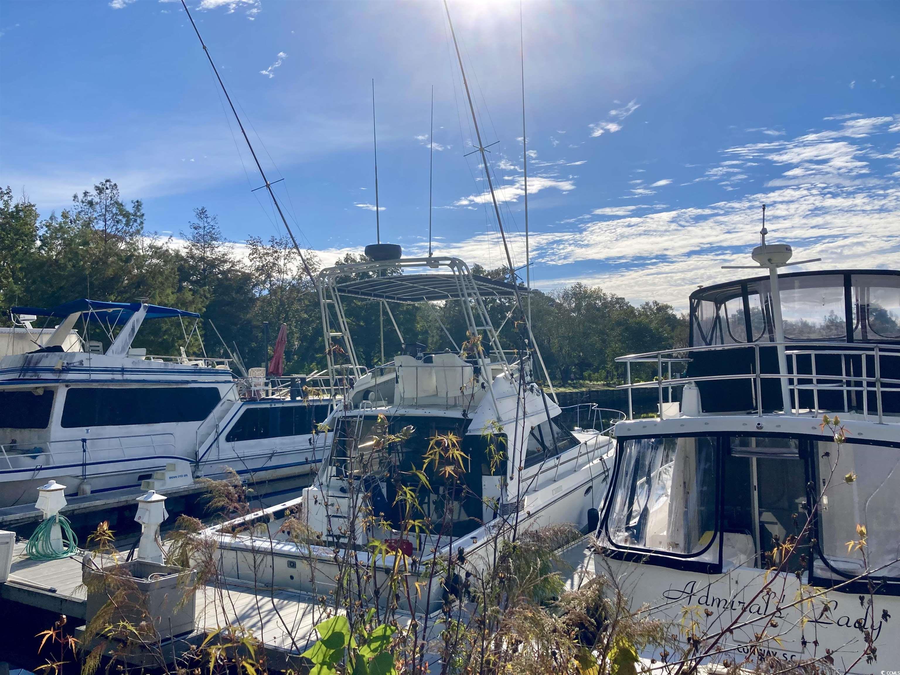 537 Honeyhill Loop Conway, SC 29526 - Photo 36 of 40 View of dock area