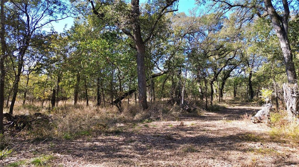 0 Bee Creek Road Maypearl, TX 76064 - Photo 9 of 39 a backyard of a house with lots of green space