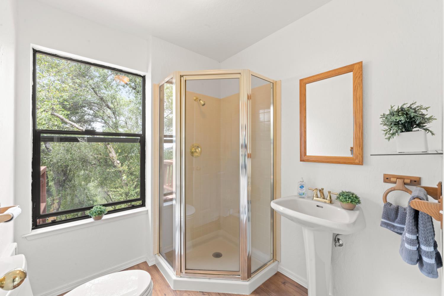 4223 Wise Road Lincoln, CA 95648 - Photo 40 of 95