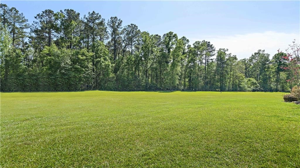 17589 Rising Fawn Road Amite, LA 70422 - Photo 29 of 29
