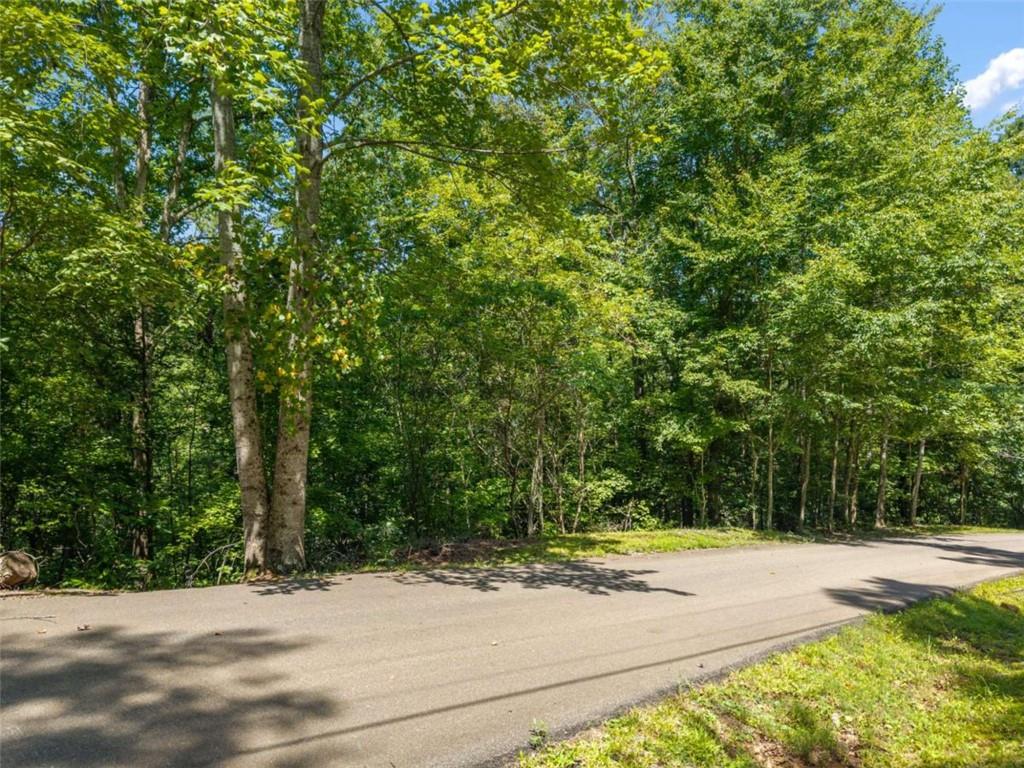 Lot26 Oak Rdg Way Ellijay, GA 30536 - Photo 15 of 40 Gallery Image 15