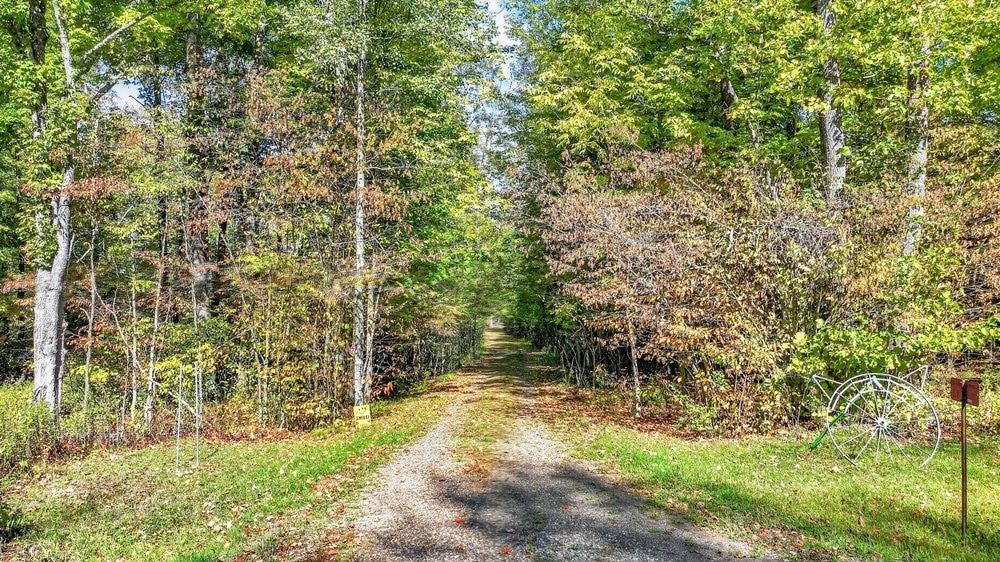 5982 Dobbert Road Winter, WI 54896 - Photo 22 of 28 Gallery Image 22