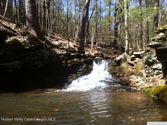 $250,000 | 278 Joel M Austin Road North, Cairo, NY 12413