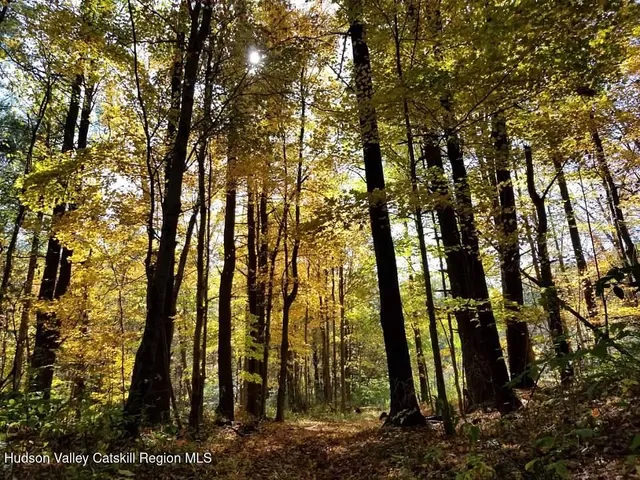 $250,000 | 278 Joel M Austin Road North, Cairo, NY 12413