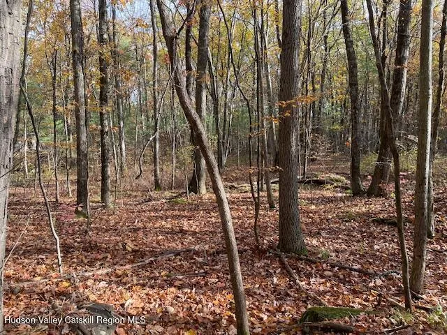 $250,000 | 278 Joel M Austin Road North, Cairo, NY 12413