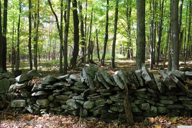 $250,000 | 278 Joel M Austin Road North, Cairo, NY 12413