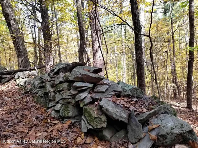 $250,000 | 278 Joel M Austin Road North, Cairo, NY 12413