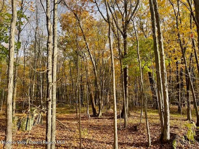 $250,000 | 278 Joel M Austin Road North, Cairo, NY 12413