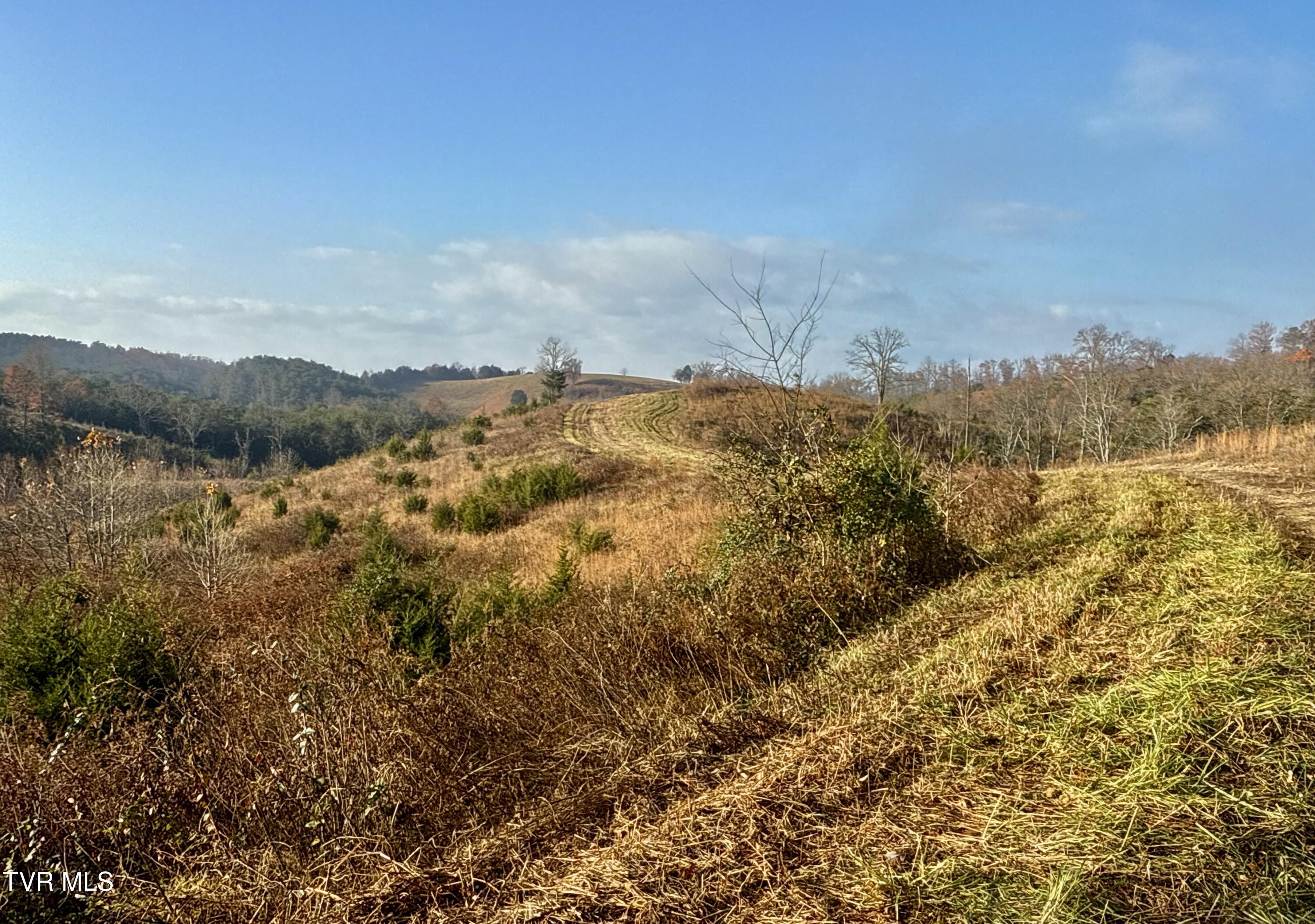 3456 Warrensburg Road, Unit 17 Whitesburg, TN 37891 - Photo 39 of 83 _Pic15 (27)