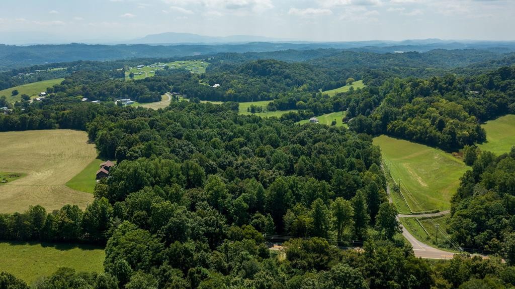 2 Dumplin Loop Road New Market, TN 37820 - Photo 5 of 7 Gallery Image 5