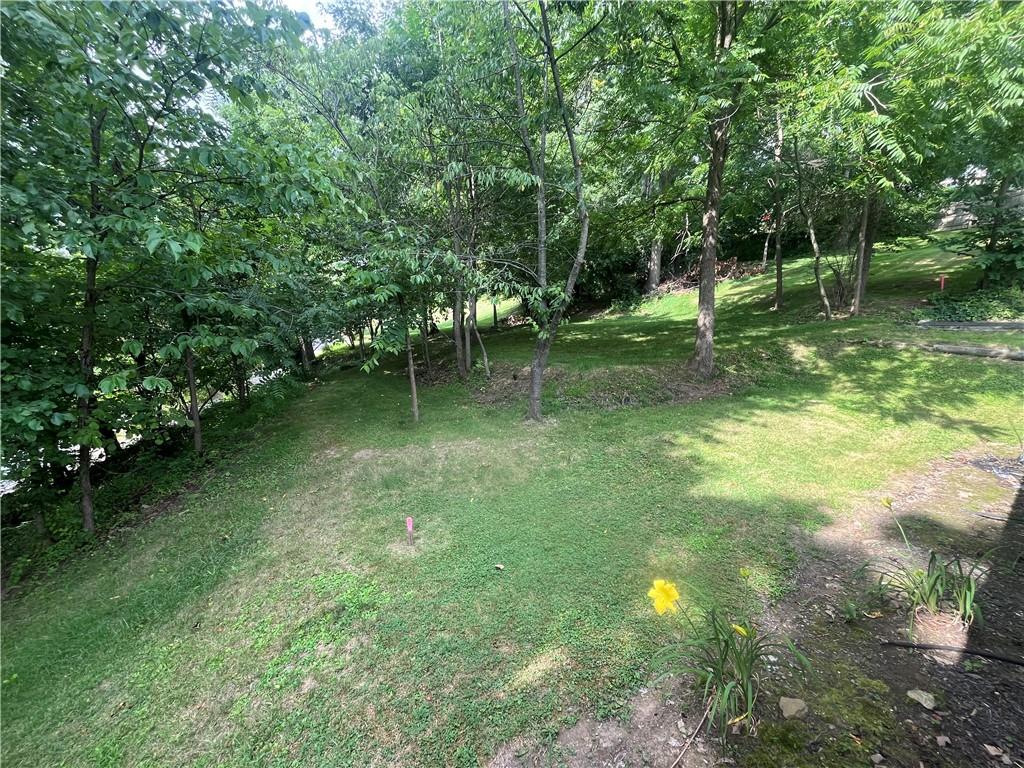 36 Burnside Road Canonsburg, PA 15317 - Photo 5 of 15 quiet yard