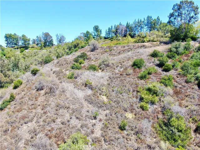 a view of a garden with a lot of flower plants and wooden fence