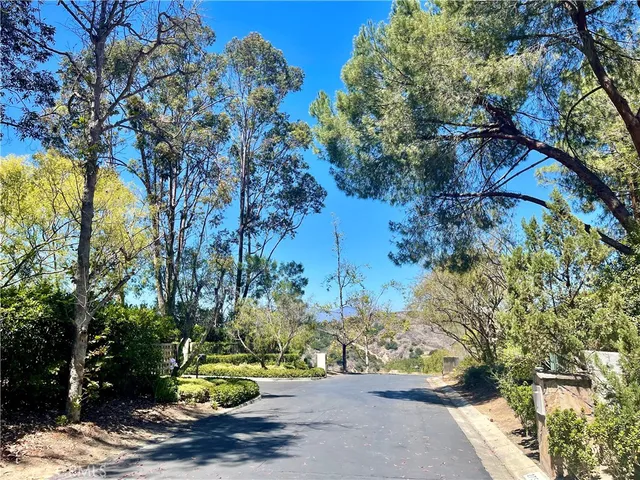 a view of a garden with a pathway