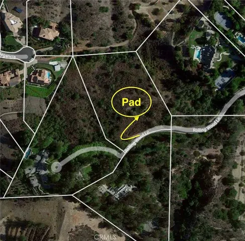 a view of a forest with mountains in the background