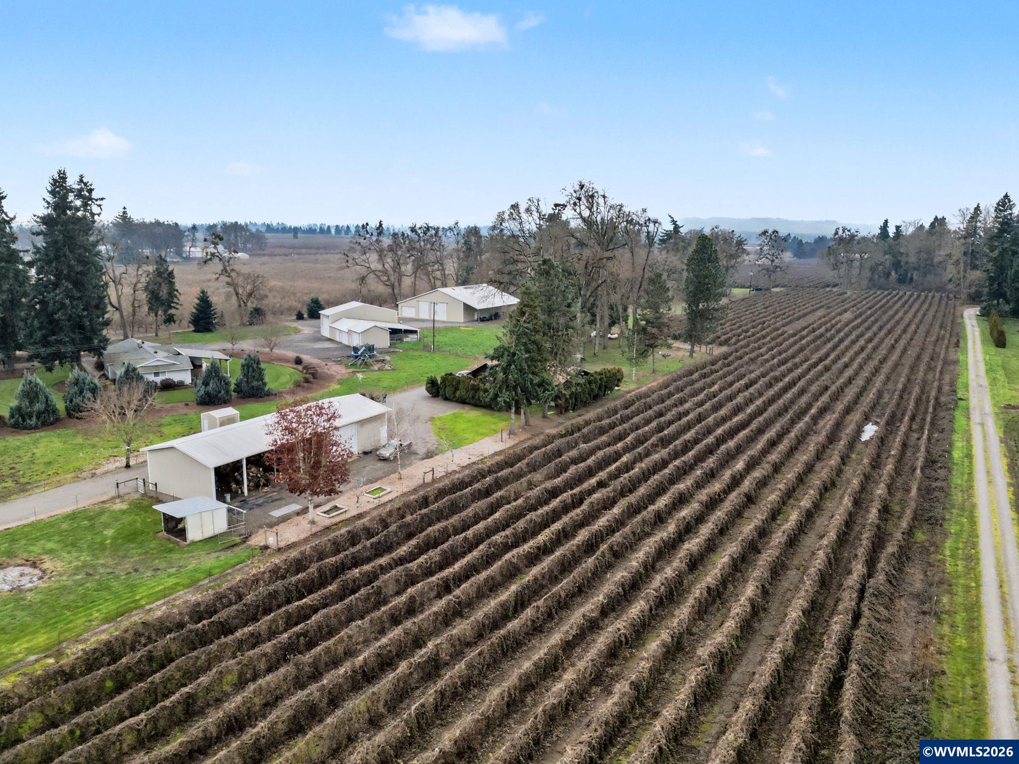 13763 French Prairie Road Northeast Gervais, OR 97026 - Photo 24 of 31