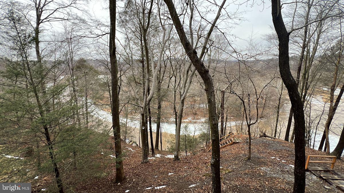 6728 Hemlock Point Road New Market, MD 21774 - Photo 26 of 28 a view of outdoor space with lots of trees