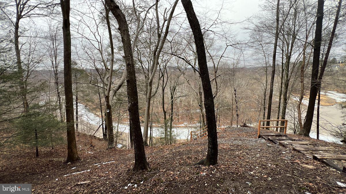 6728 Hemlock Point Road New Market, MD 21774 - Photo 28 of 28 a view of a forest filled with trees