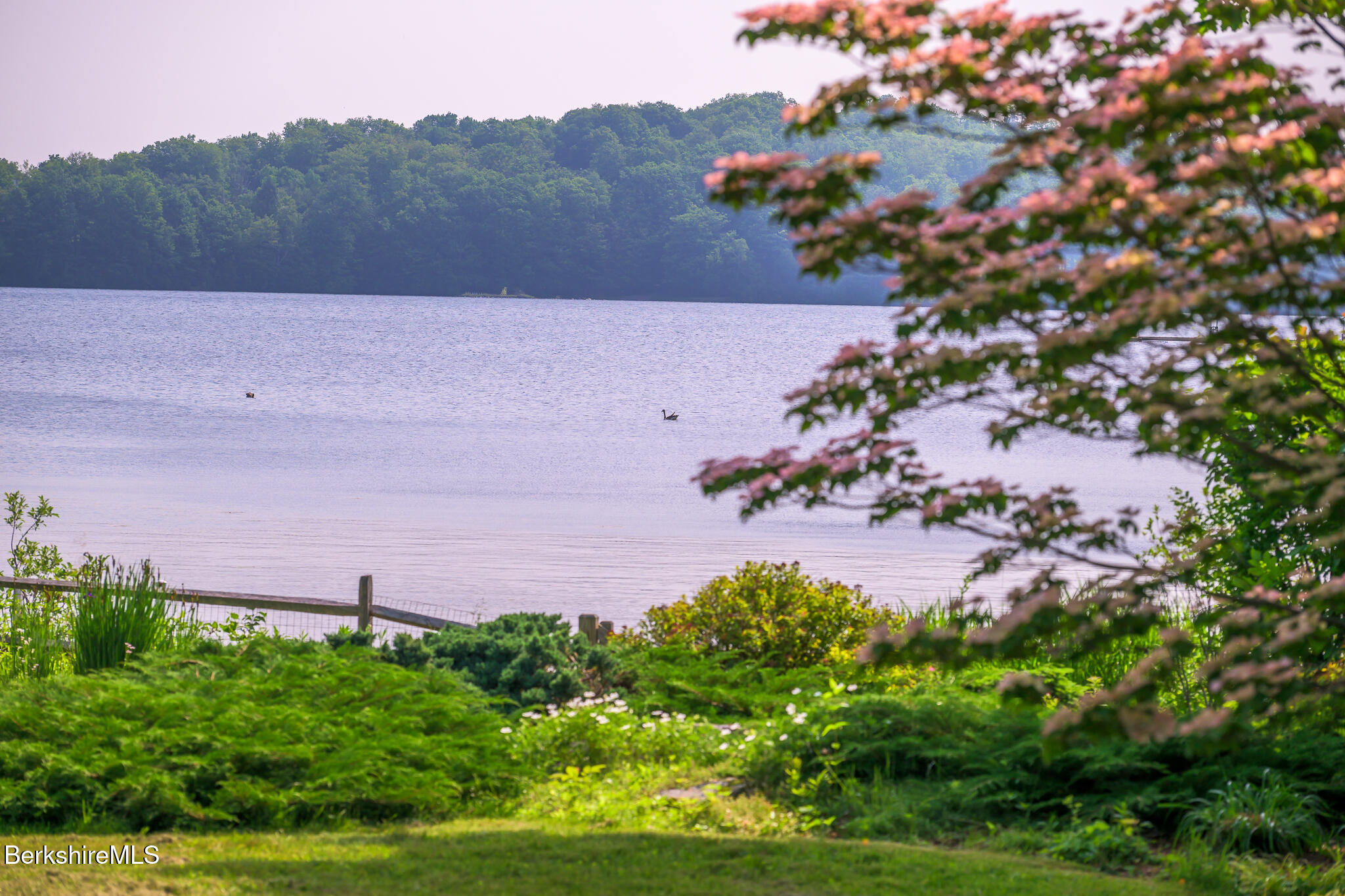 144 Shore Road Richmond, MA 01201 - Photo 3 of 44 Water View with Ducks