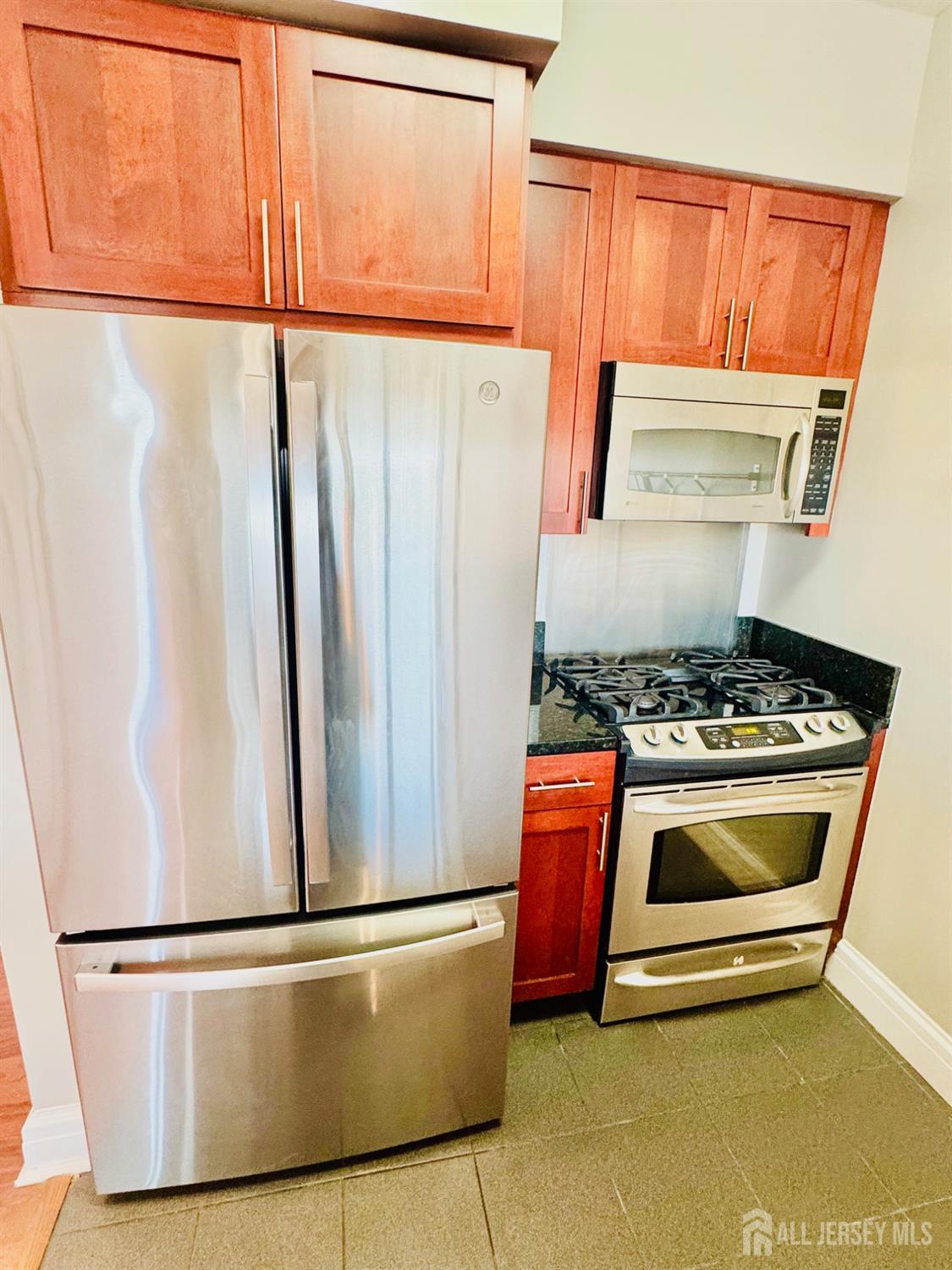 1 Spring Street, Unit 1806 New Brunswick, NJ 08901 - Photo 12 of 65 a kitchen with stainless steel appliances granite countertop a refrigerator and a stove