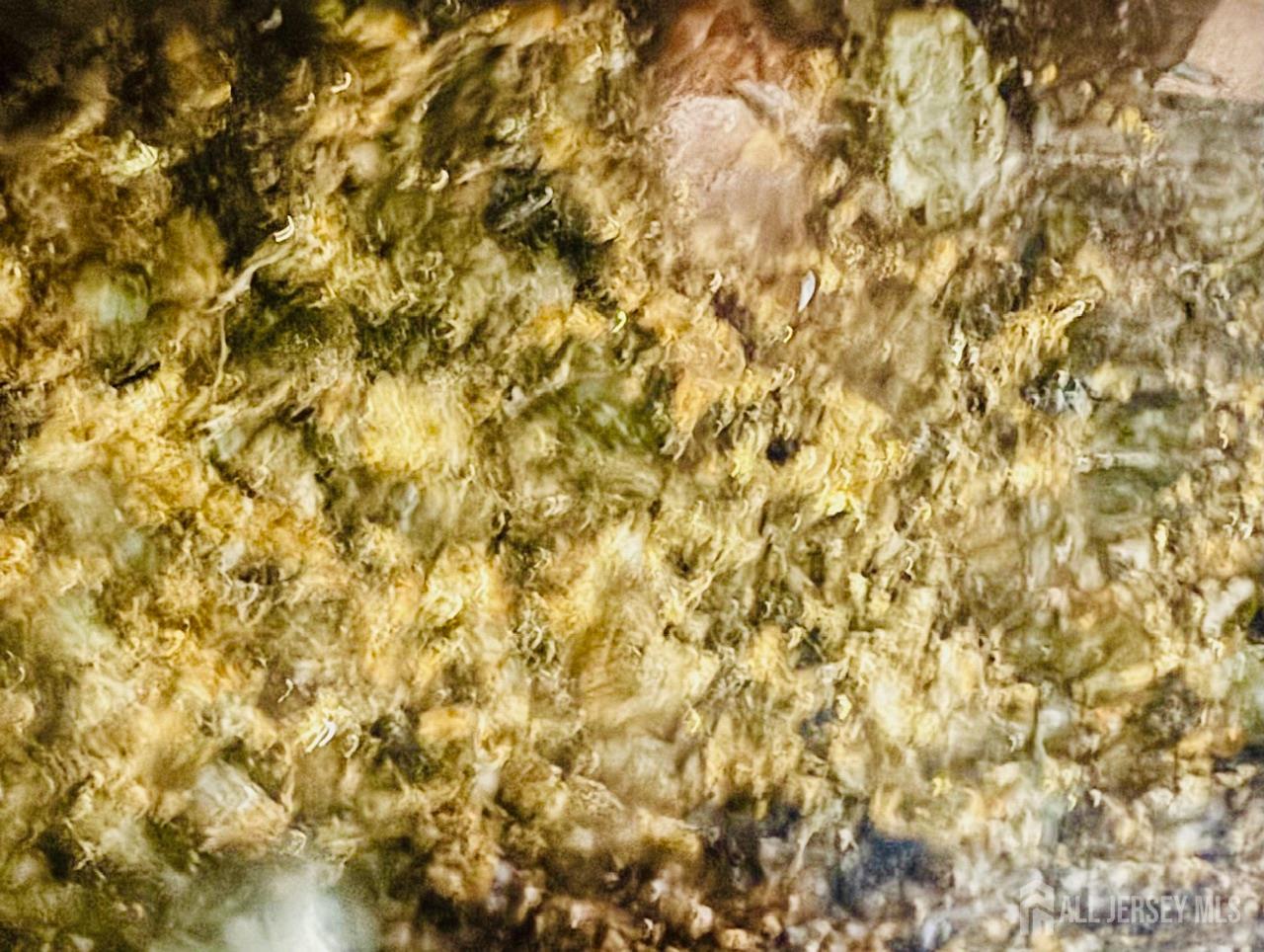 1 Spring Street, Unit 1806 New Brunswick, NJ 08901 - Photo 14 of 65 a bathroom with a window