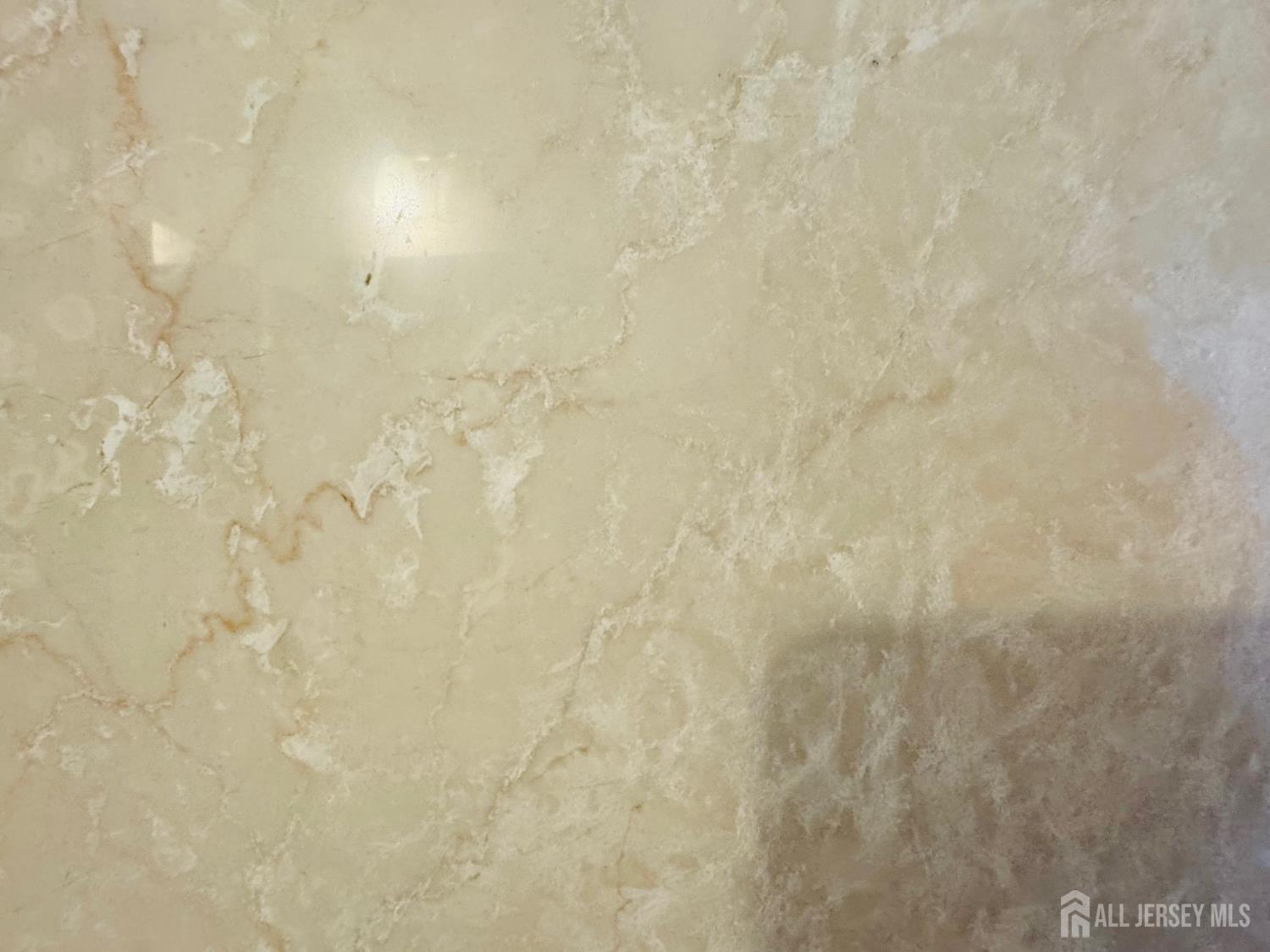 1 Spring Street, Unit 1806 New Brunswick, NJ 08901 - Photo 39 of 65 a bathroom with a shower