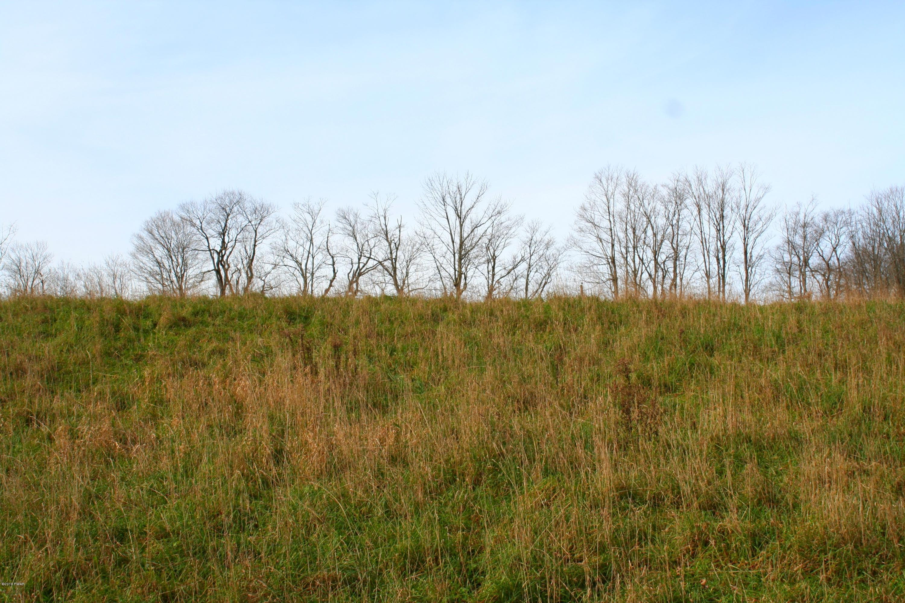 Lot D Lot D North Road Pleasant Mount, PA 18453 - Photo 5 of 9