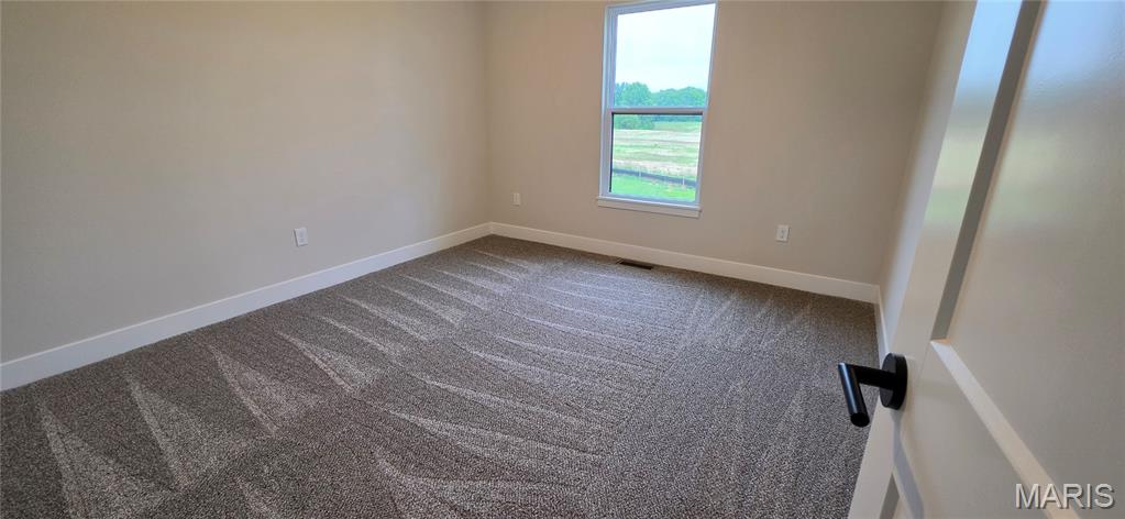 1438 Montauk Road Troy, IL 62294 - Photo 47 of 98